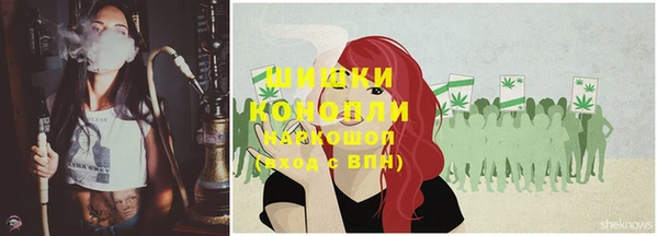 молекула духа Костерёво