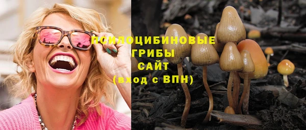 молекула духа Костерёво