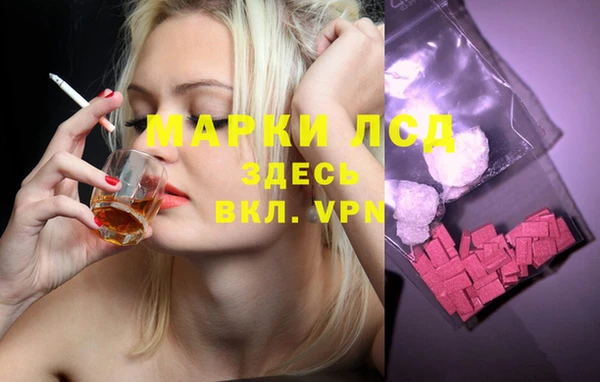 молекула духа Костерёво