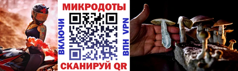 Купить закладки  Оренбург  Галлюциногенные грибы Magic Shrooms 