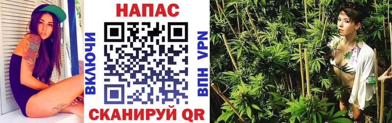 Конопля конопля  Купить закладки  Оренбург 